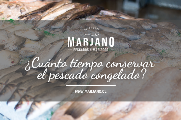 ¿Cuánto tiempo conservar el pescado congelado? Consejos para una conservación óptima