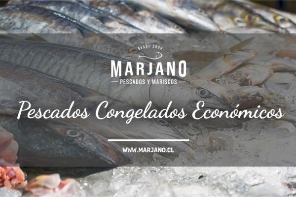 Pescados Congelados Económicos: Sabor, Calidad y Ahorro