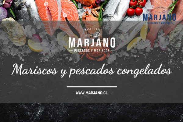 Cómo elegir pescados y mariscos congelados: Una guía completa