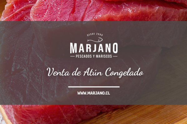 Venta de Atún Congelado: Variedades y Recetas Irresistibles