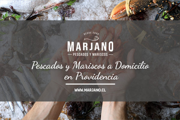 Pescados y Mariscos a Domicilio en Providencia: ¡Sabor en la Puerta de Tu Hogar!