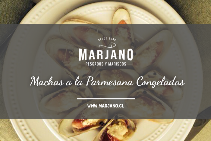 Machas a la Parmesana Congeladas: Una Delicia del Mar en Tu Mesa