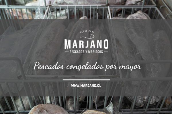 Descubre los Beneficios de Comprar Pescados Congelados Por Mayor para tus Platos Favoritos