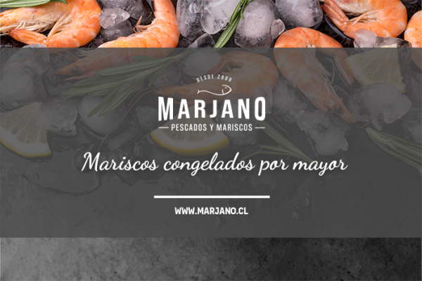 Mariscos Congelados al Por Mayor: Sabor y Calidad en Tu Mesa