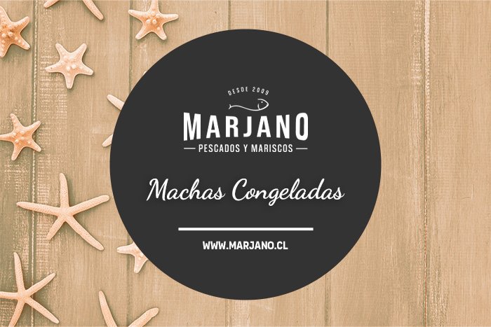 Machas Congeladas